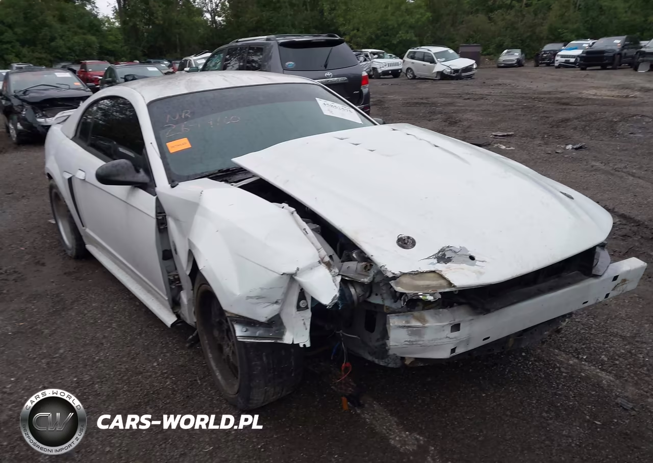 2004 Ford Mustang Gt – zdjęcie 1 z 16