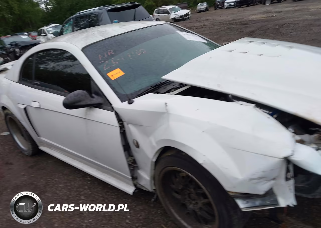 2004 Ford Mustang Gt VIN:1FAFP42X04F224806 - 13