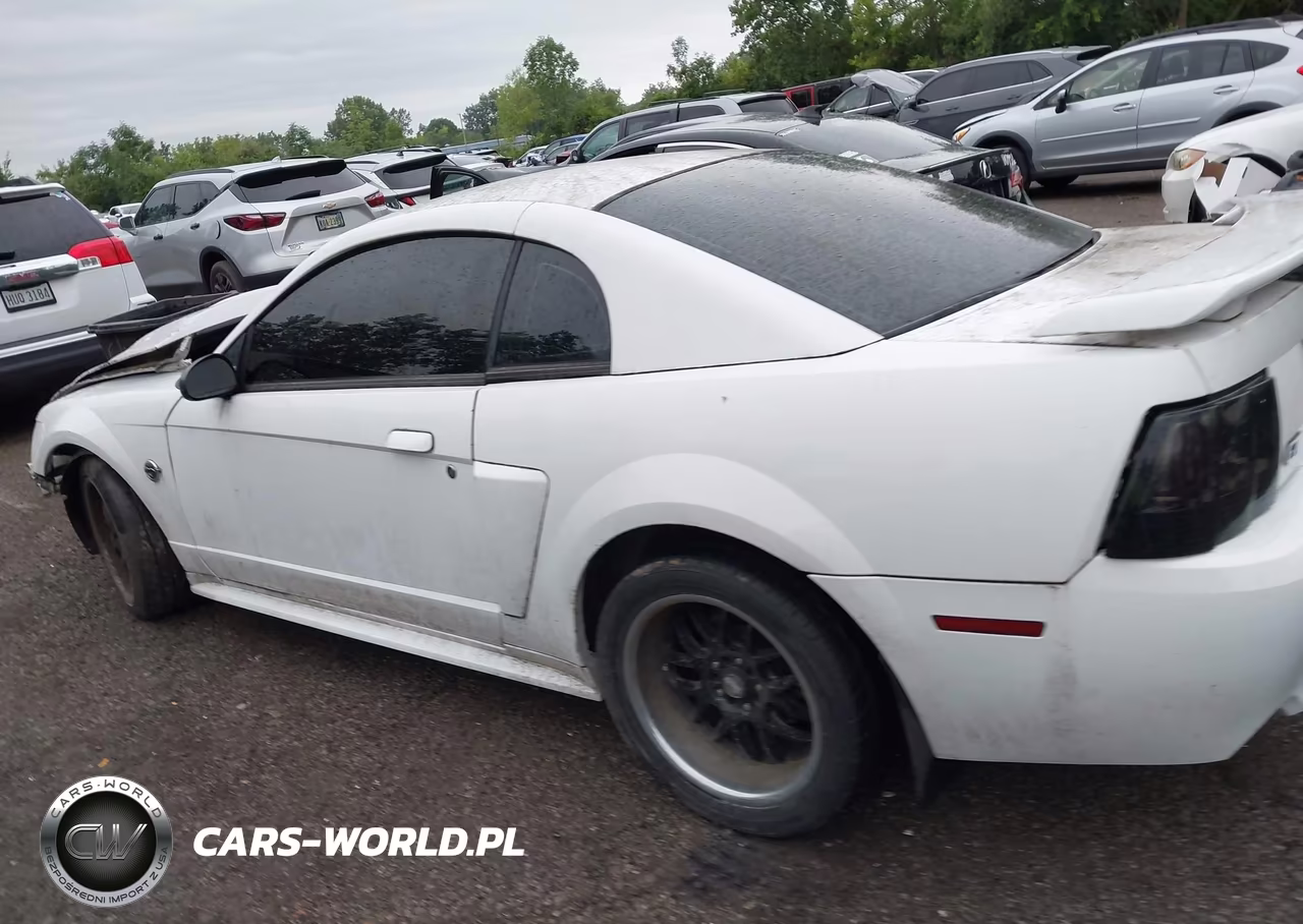 2004 Ford Mustang Gt VIN:1FAFP42X04F224806 - 14