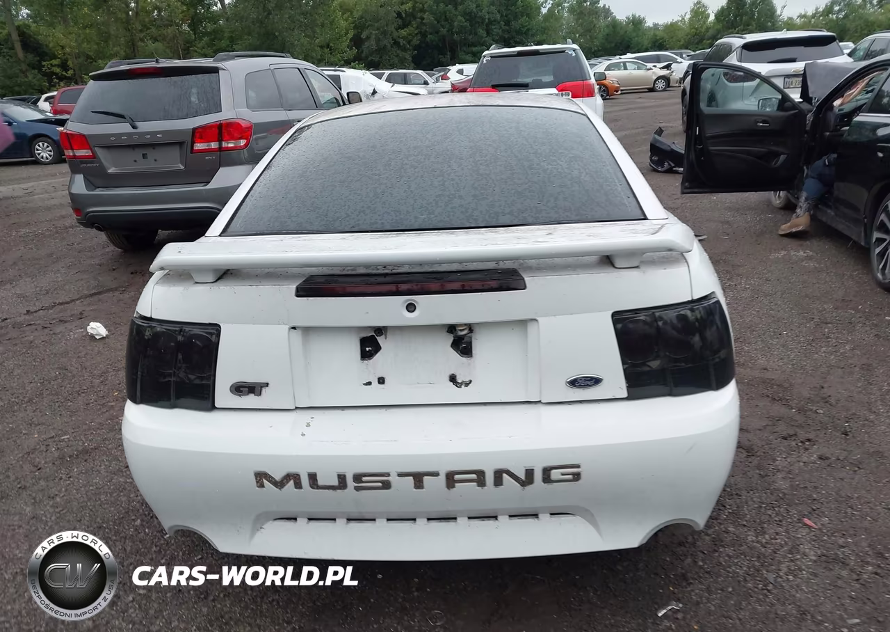 2004 Ford Mustang Gt VIN:1FAFP42X04F224806 - 16