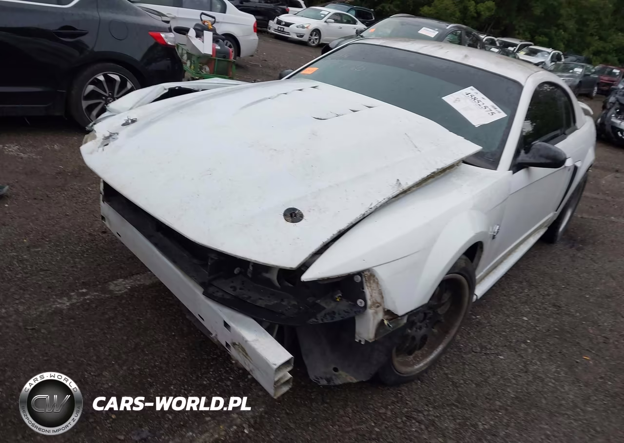2004 Ford Mustang Gt VIN:1FAFP42X04F224806 - 2