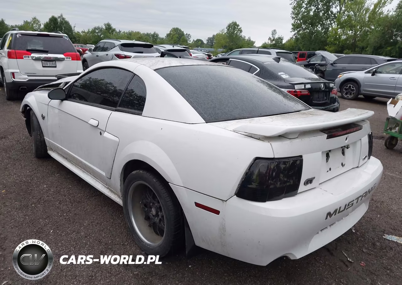 2004 Ford Mustang Gt VIN:1FAFP42X04F224806 - 3