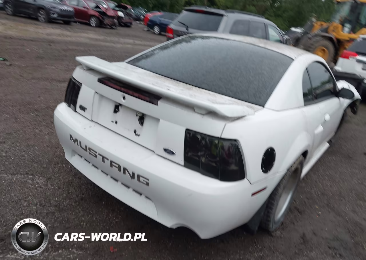 2004 Ford Mustang Gt VIN:1FAFP42X04F224806 - 4