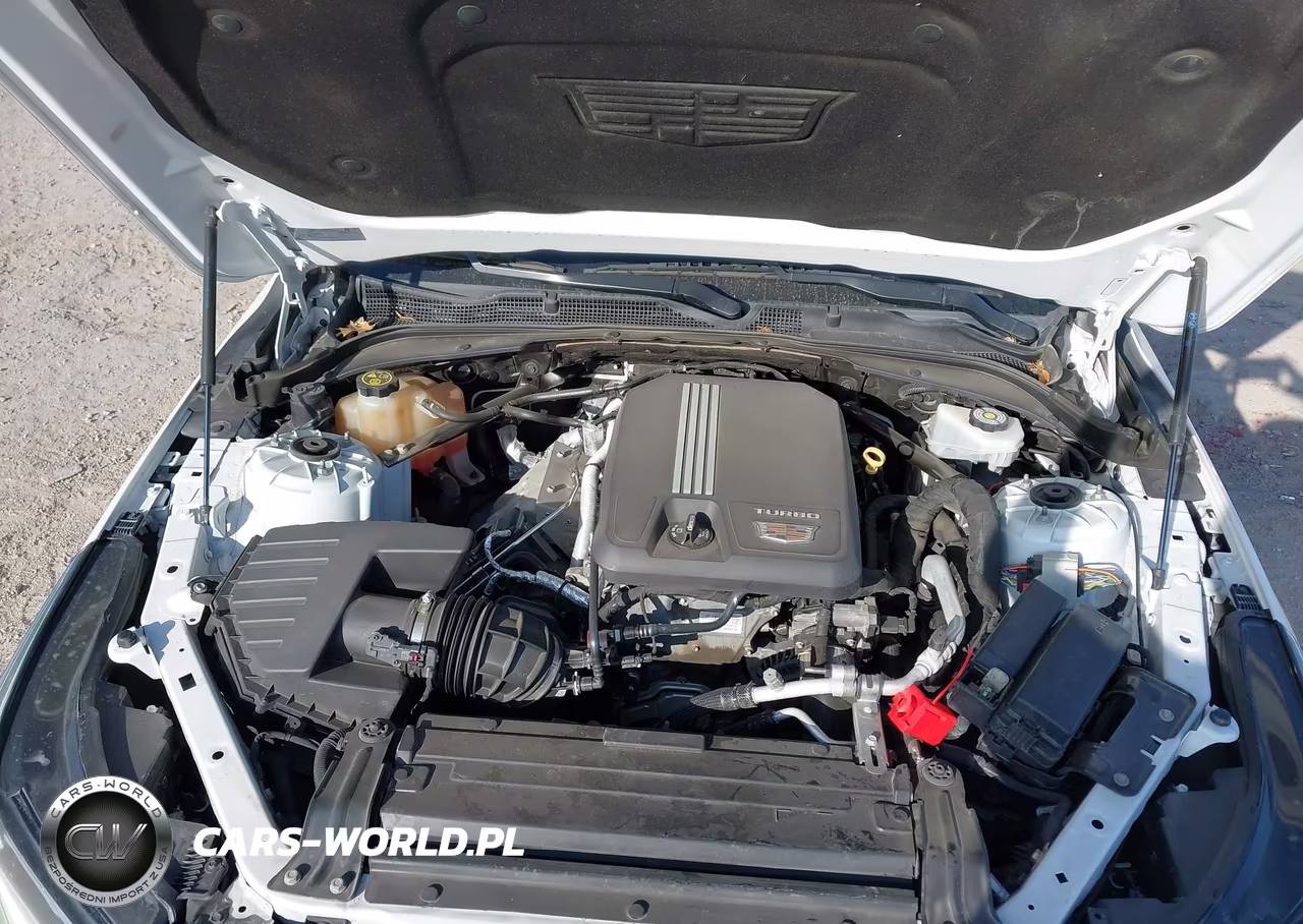2020 Cadillac Ct4 Luxury VIN:1G6DJ5RK1L0154918 - 10