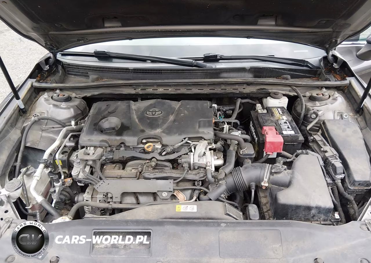2020 Toyota Camry Le VIN:4T1C11AKXLU862313 - 10
