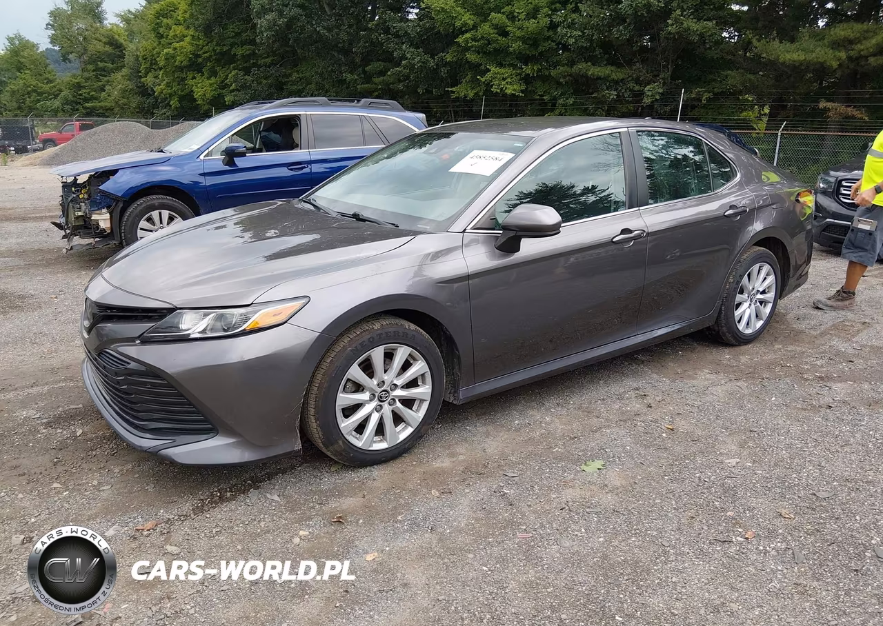 2020 Toyota Camry Le VIN:4T1C11AKXLU862313 - 2