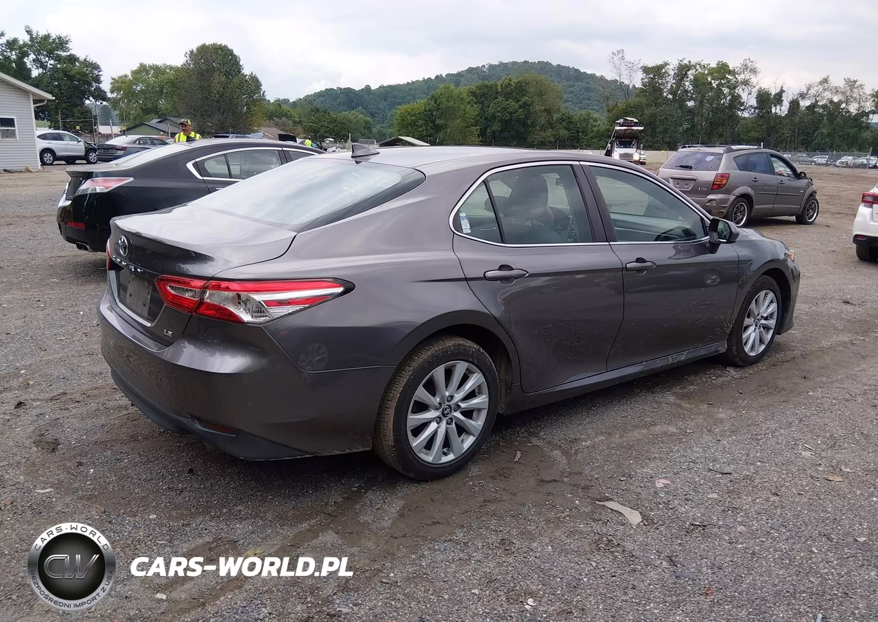 2020 Toyota Camry Le VIN:4T1C11AKXLU862313 - 4