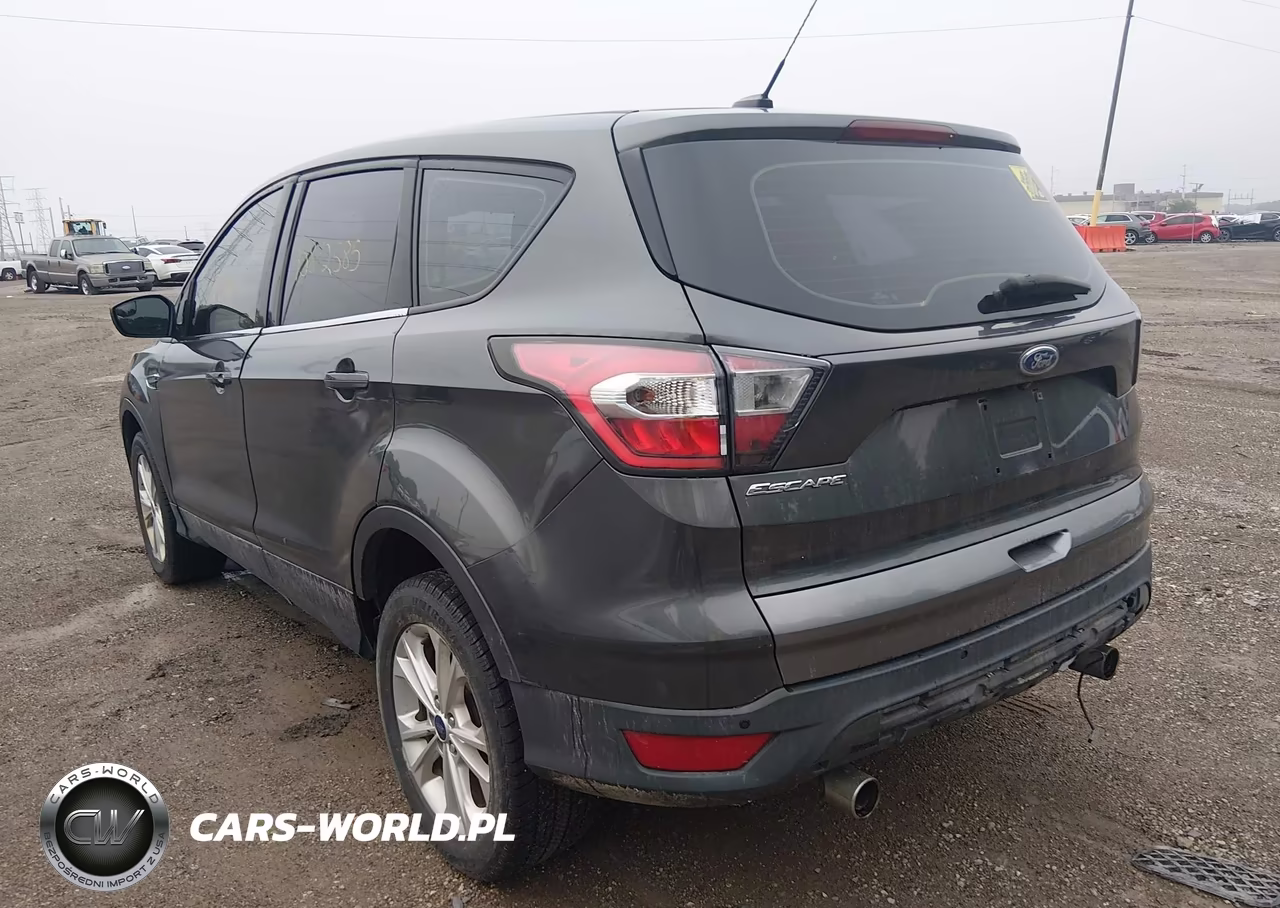 2017 Ford Escape S VIN:1FMCU0F79HUB40196 - 3