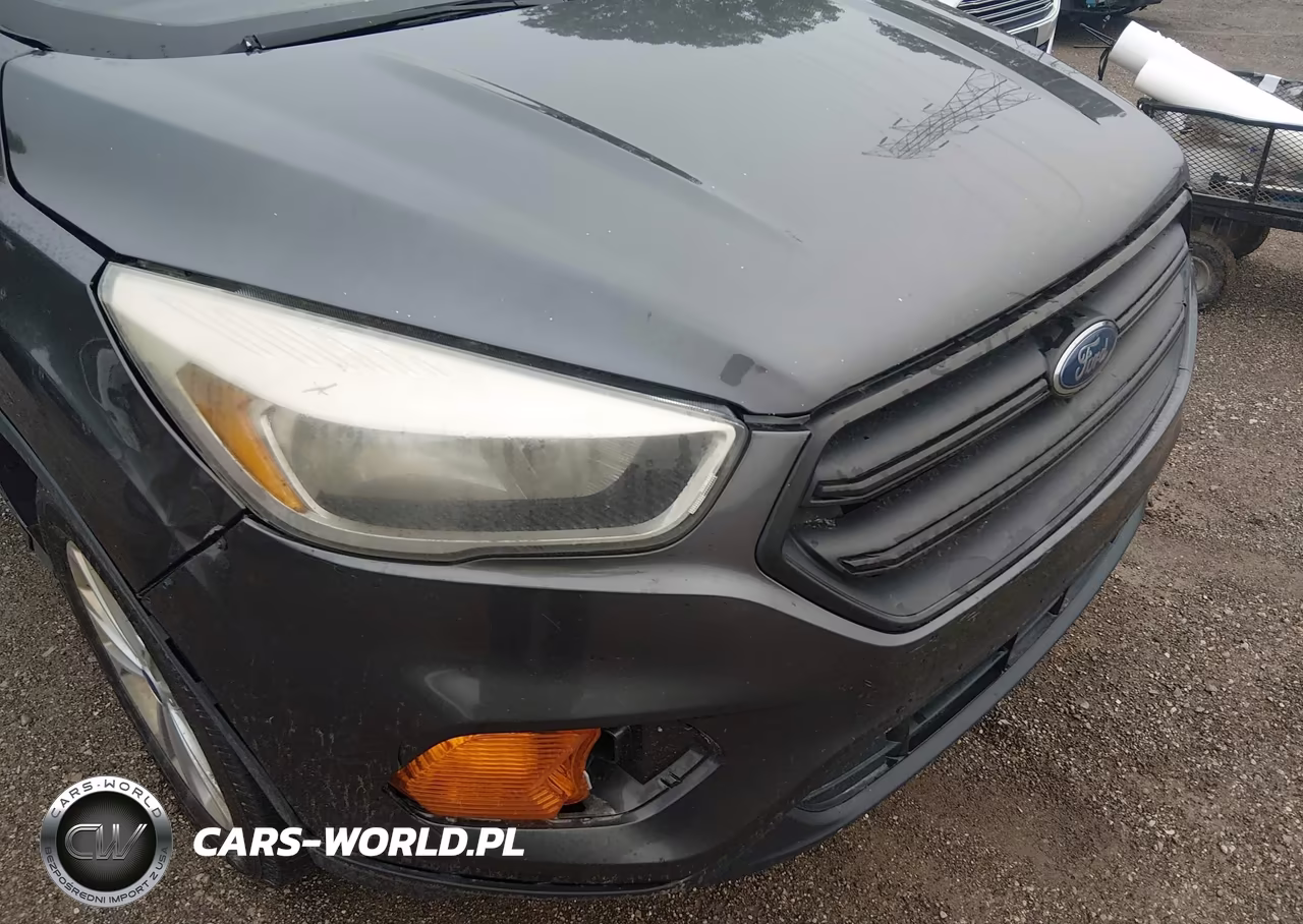 2017 Ford Escape S VIN:1FMCU0F79HUB40196 - 6
