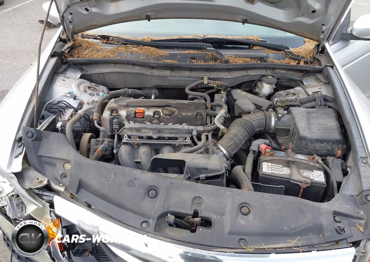 2012 Honda Accord 2.4 Se VIN:1HGCP2F6XCA212632 - 10