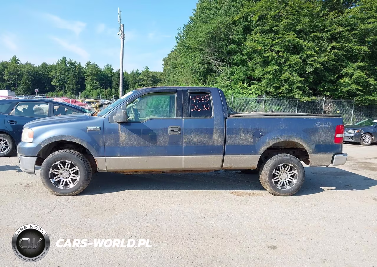 2004 Ford F-150 Fx4-Lariat-Xl-Xlt VIN:1FTPX14504NA78566 - 12