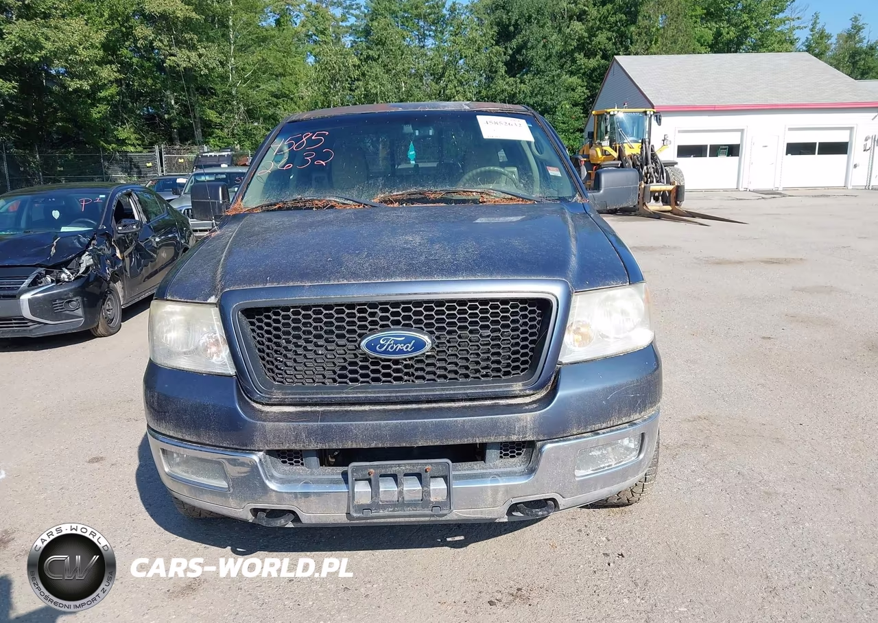 2004 Ford F-150 Fx4-Lariat-Xl-Xlt VIN:1FTPX14504NA78566 - 13