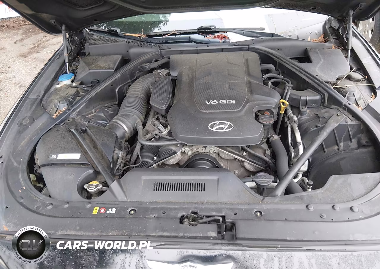 2015 Hyundai Genesis 3.8 VIN:KMHGN4JE9FU060700 - 10