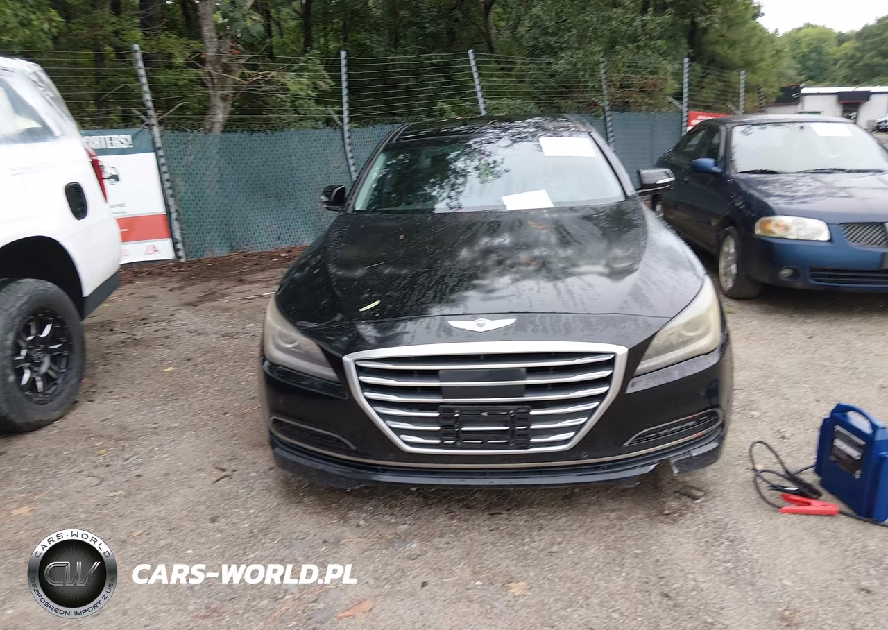 2015 Hyundai Genesis 3.8 VIN:KMHGN4JE9FU060700 - 12