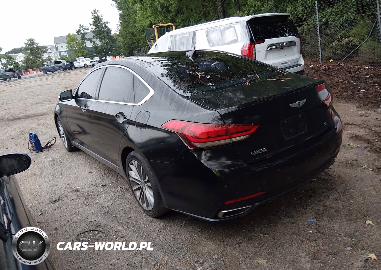 2015 Hyundai Genesis 3.8 VIN:KMHGN4JE9FU060700 - 3
