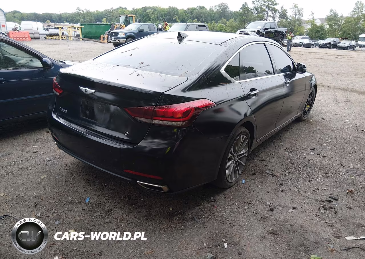 2015 Hyundai Genesis 3.8 VIN:KMHGN4JE9FU060700 - 4
