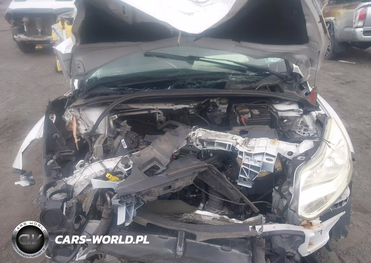 2014 Ford Focus Se VIN:1FADP3F25EL338674 - 10