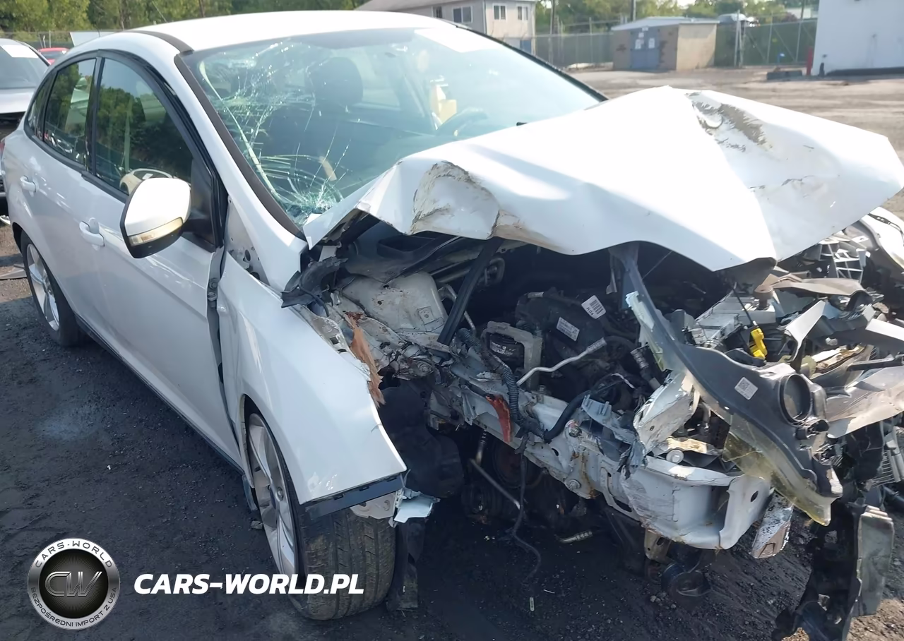 2014 Ford Focus Se VIN:1FADP3F25EL338674 - 17