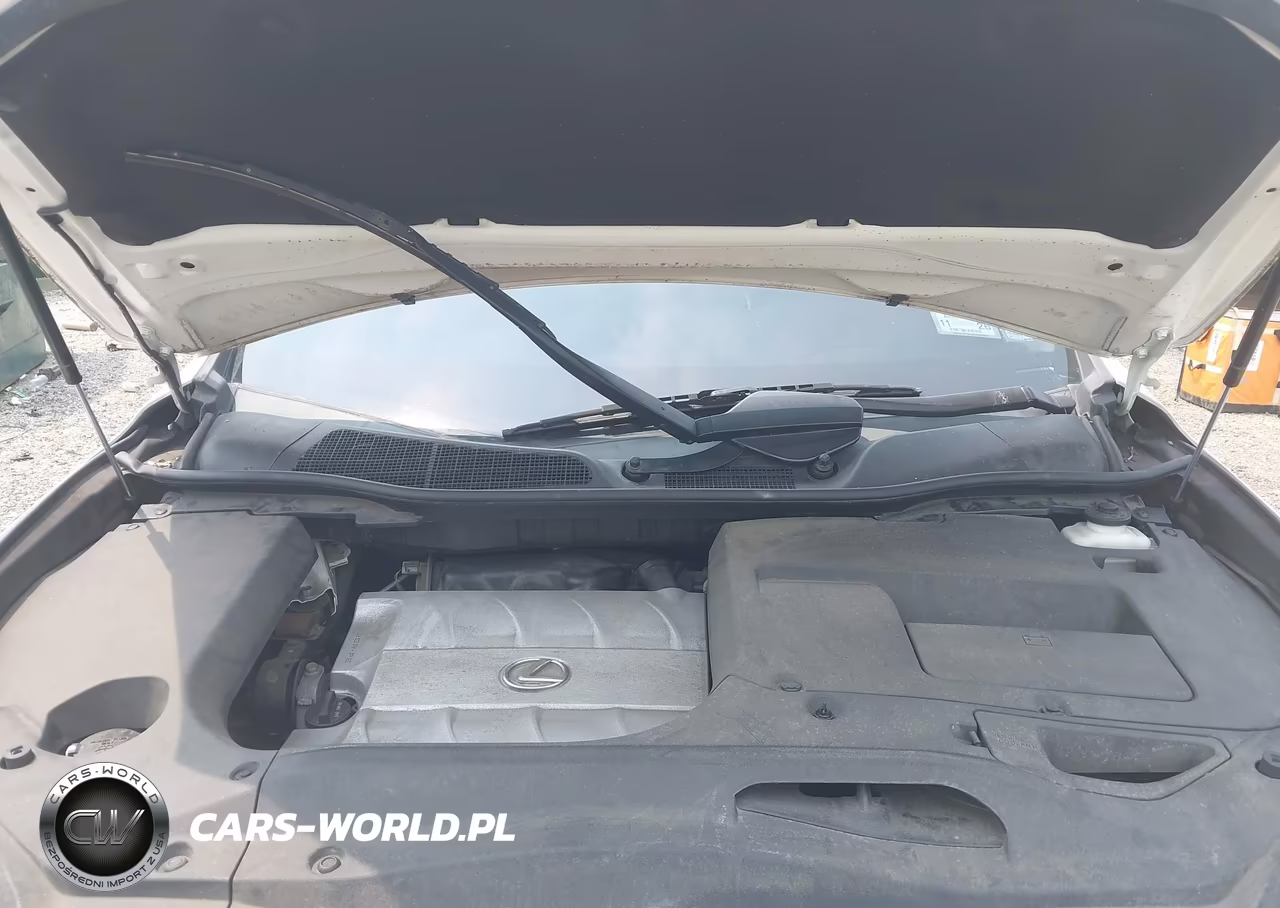 2015 Lexus Rx 350 VIN:2T2BK1BA5FC259074 - 10