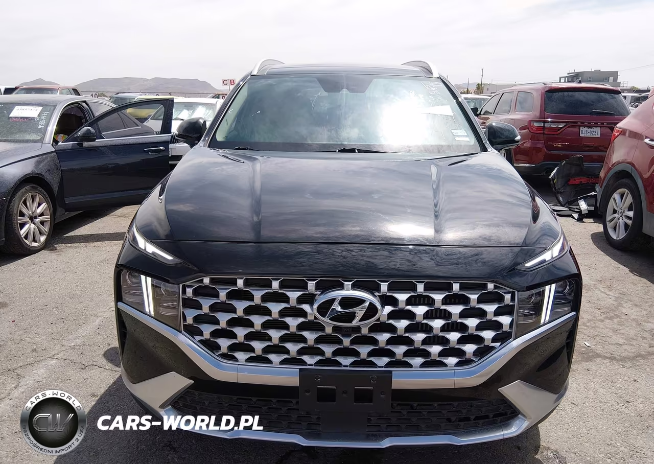 2023 Hyundai Santa Fe Hybrid Limited VIN:5NMS5DA18PH001335 - 12