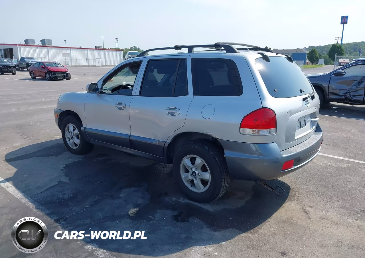 2005 Hyundai Santa Fe Gls-Lx VIN:KM8SC13E65U012632 - 3