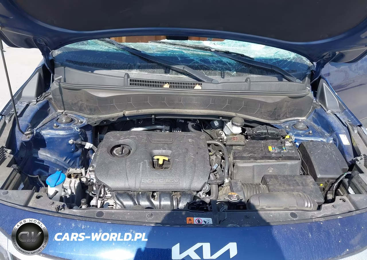 2024 Kia Seltos Ex VIN:KNDERCAA5R7558158 - 10