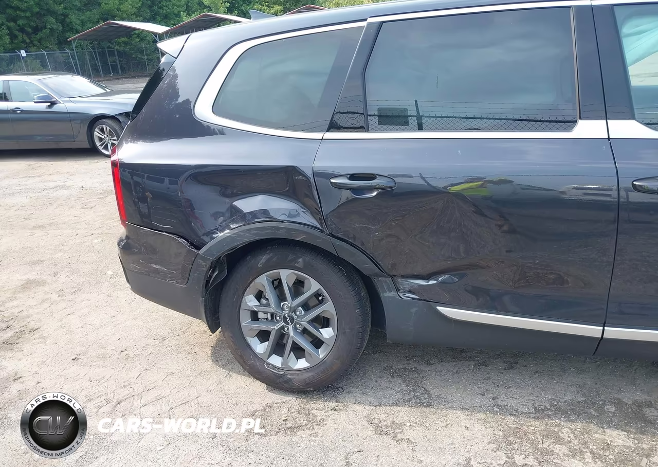 2025 Kia Telluride Lx VIN:5XYP24GC2SG641227 - 6