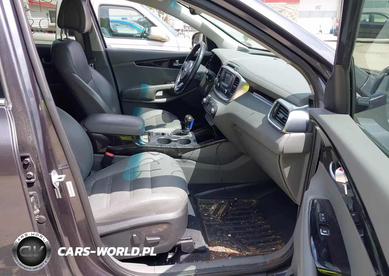 2016 Kia Sorento 2.0T Ex VIN:5XYPHDA17GG007019 - 5