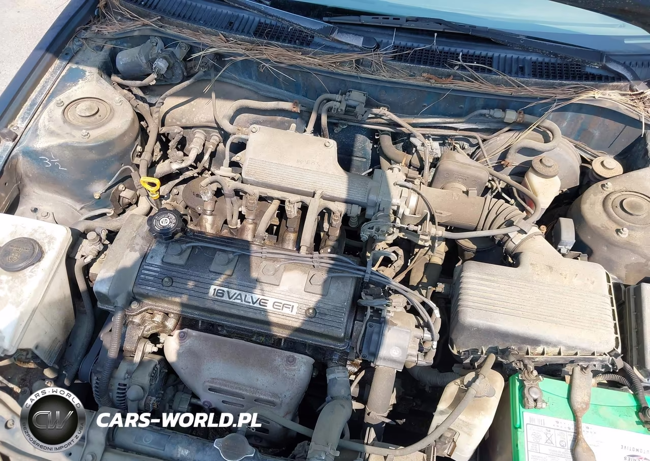 1994 Toyota Corolla VIN:JT2AE04B6R0079360 - 10