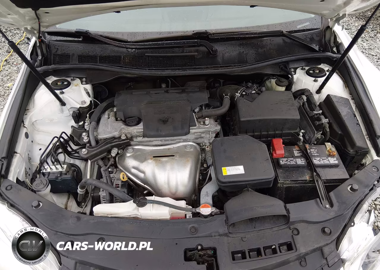 2016 Toyota Camry Xle VIN:4T1BF1FK3GU241345 - 10