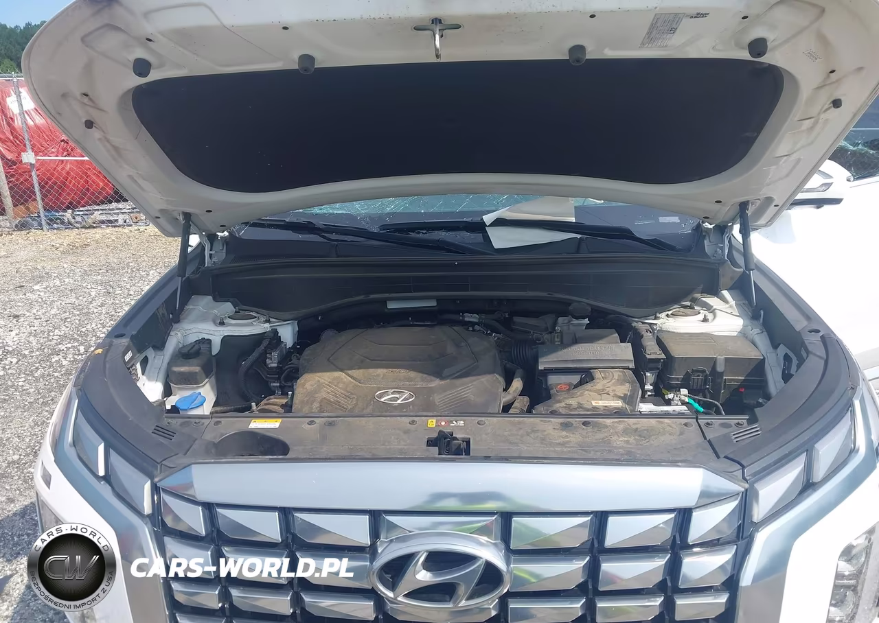 2023 Hyundai Palisade Calligraphy VIN:KM8R74GE2PU537995 - 10