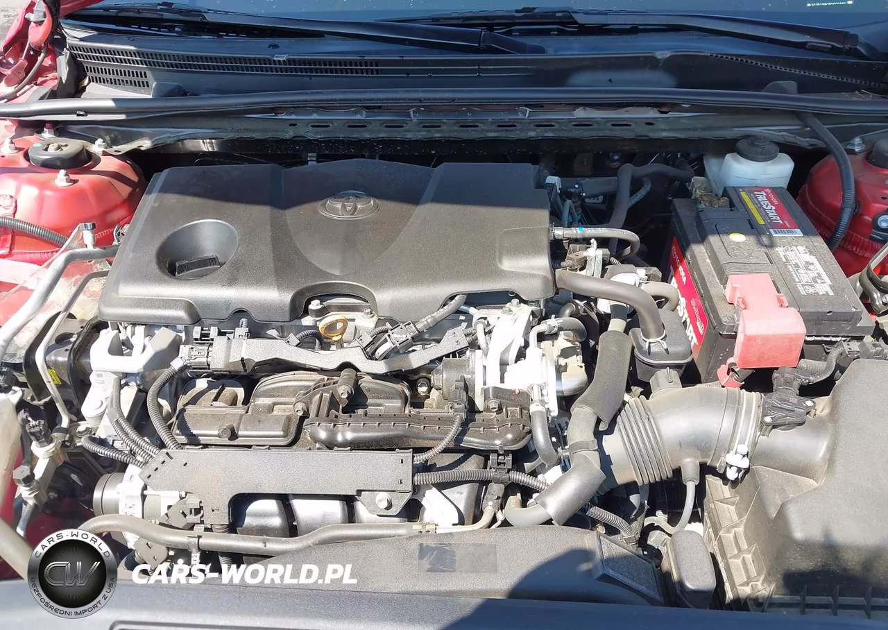 2019 Toyota Camry Se VIN:4T1B11HK1KU231482 - 10