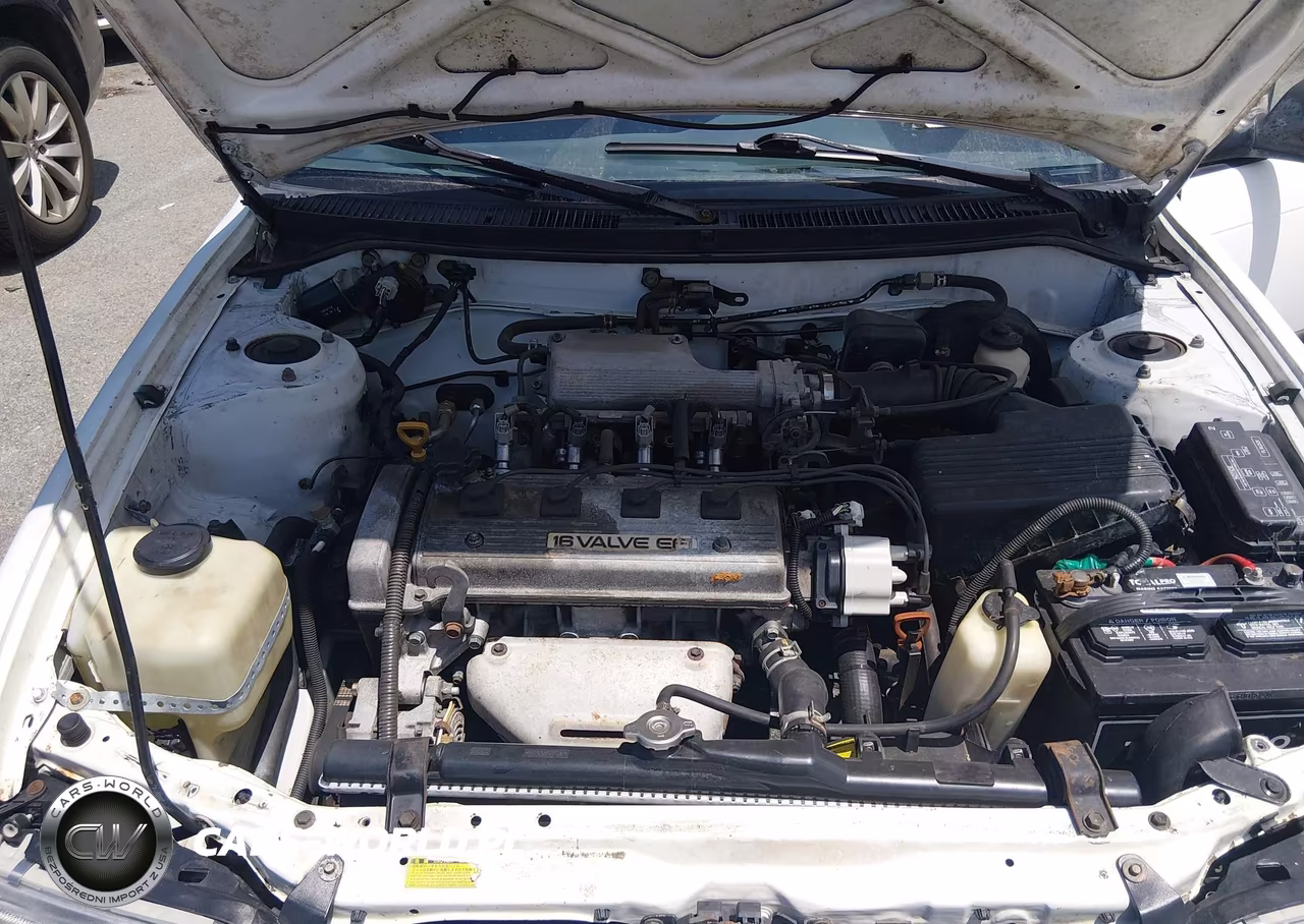 1994 Toyota Corolla Le-Dx VIN:1NXAE09B9RZ194698 - 10