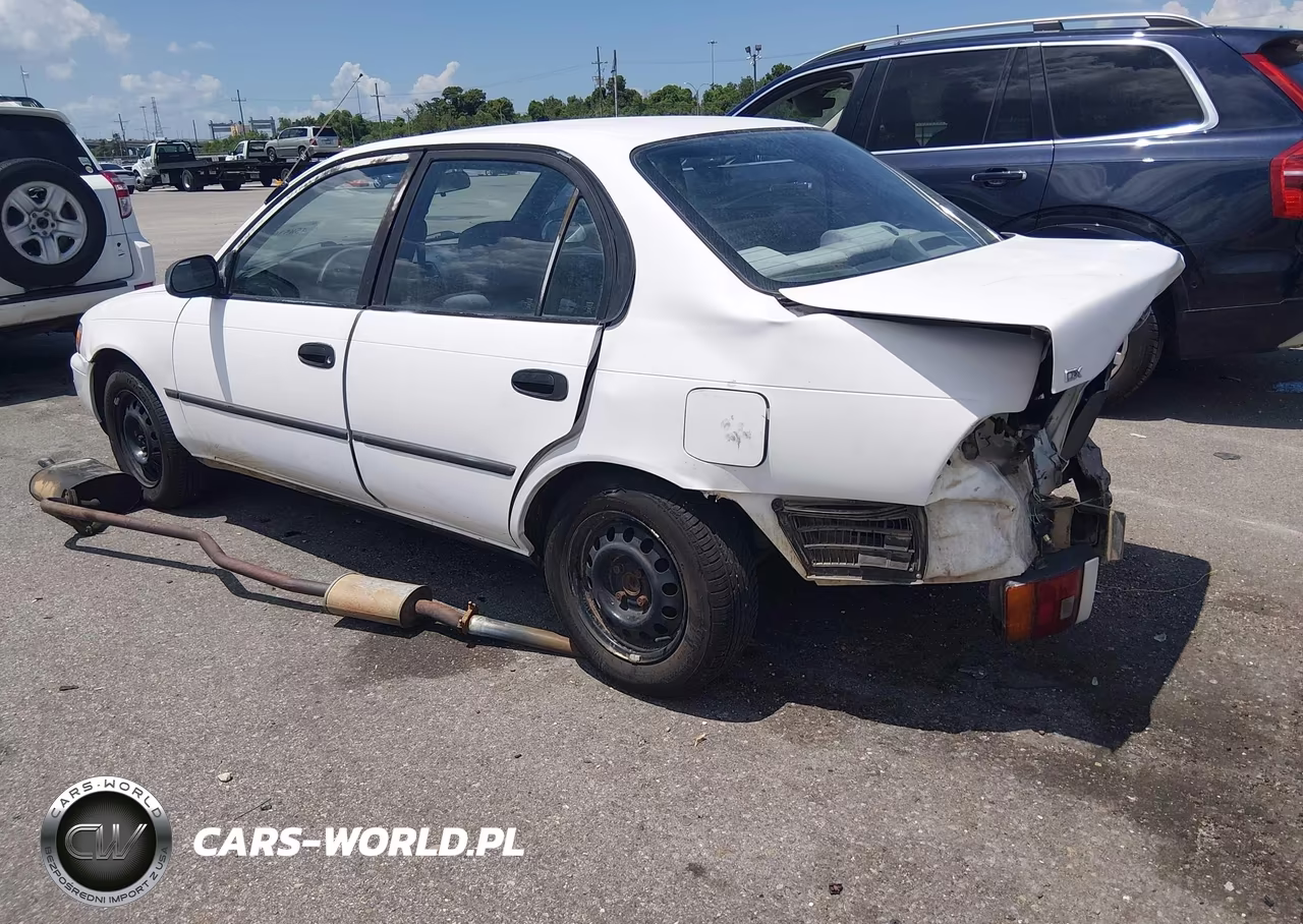 1994 Toyota Corolla Le-Dx VIN:1NXAE09B9RZ194698 - 3