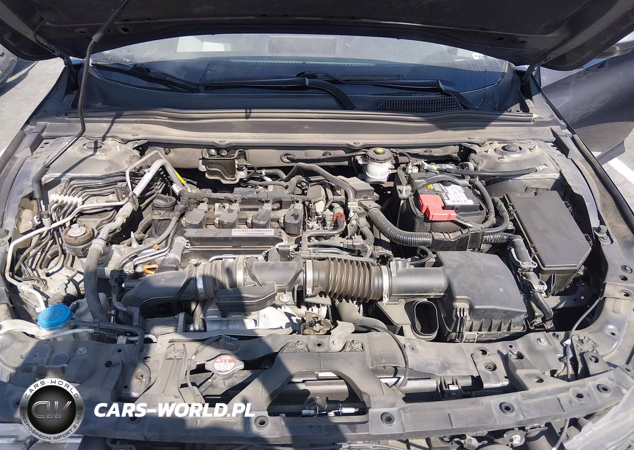 2019 Honda Accord Lx VIN:1HGCV1F1XKA020033 - 10
