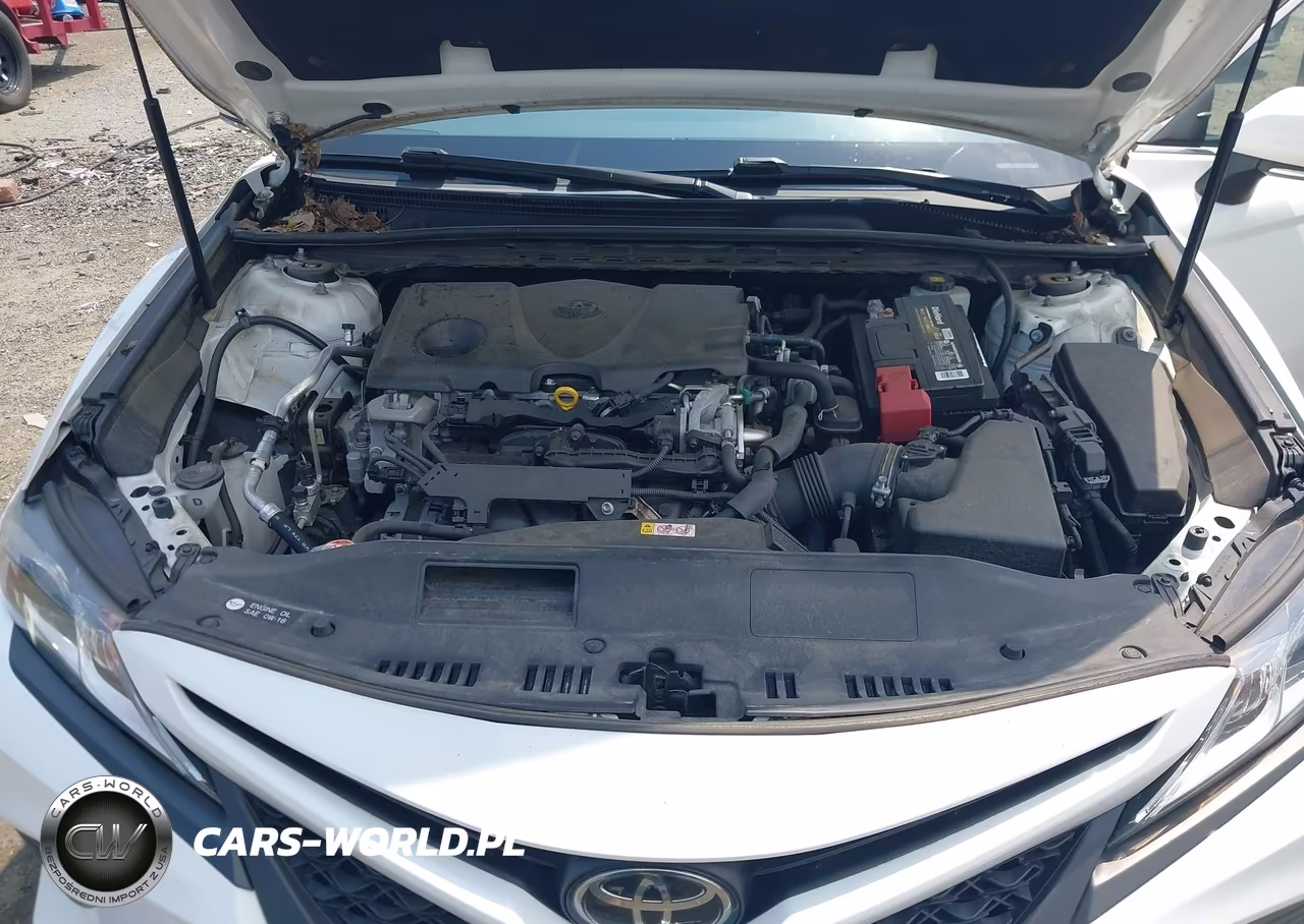 2018 Toyota Camry Se VIN:JTNB11HK2J3001101 - 10