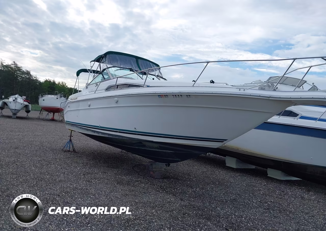 1989 Sea Ray Sundancer