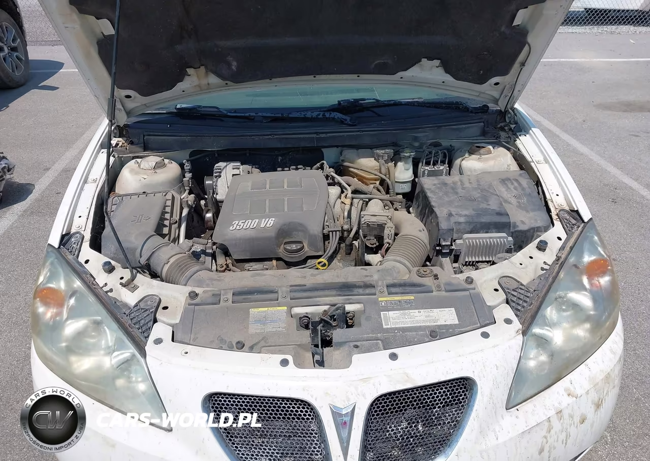2006 Pontiac G6 VIN:1G2ZG558064225250 - 10