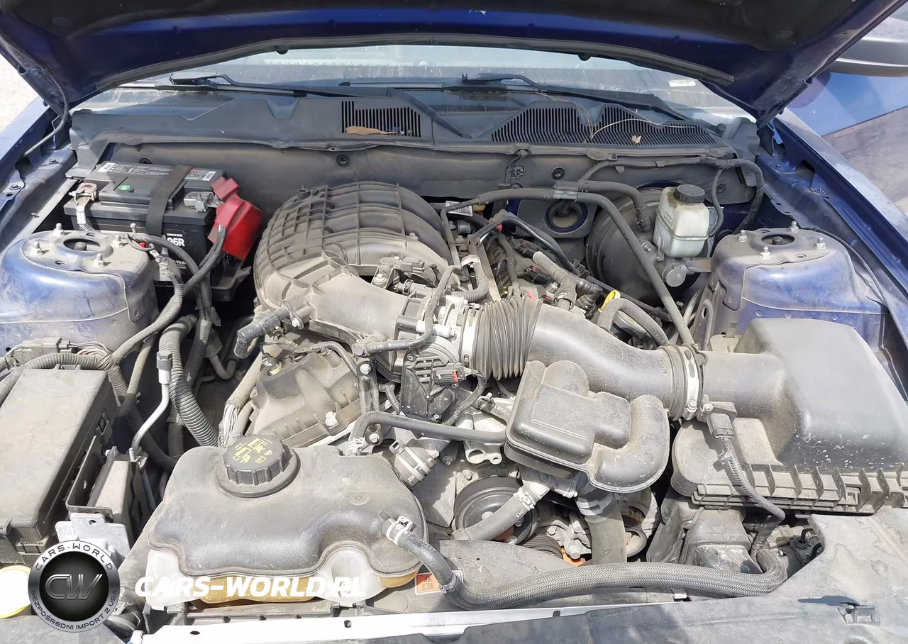 2014 Ford Mustang V6 VIN:1ZVBP8AM3E5301938 - 10