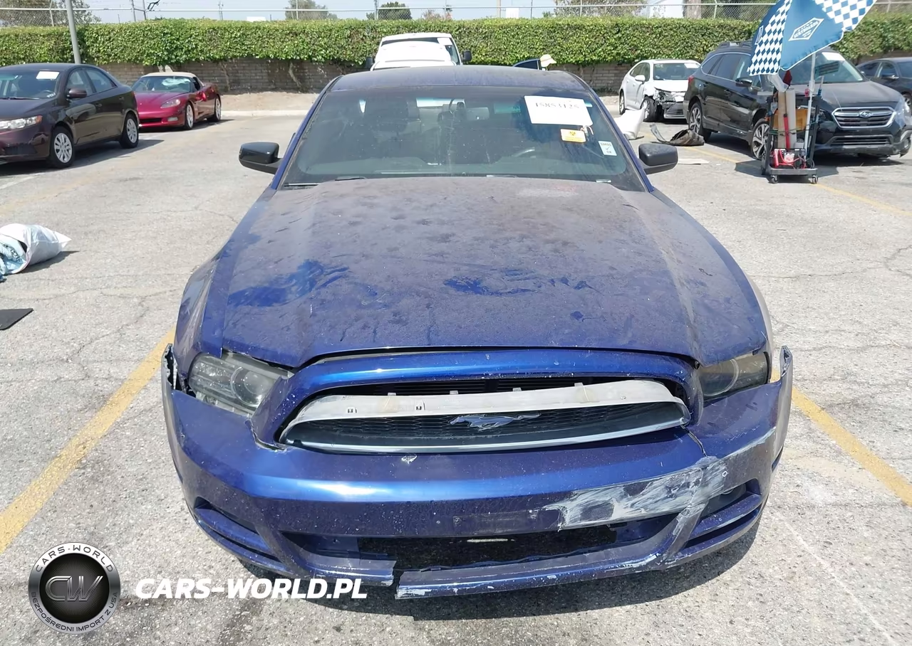 2014 Ford Mustang V6 VIN:1ZVBP8AM3E5301938 - 14