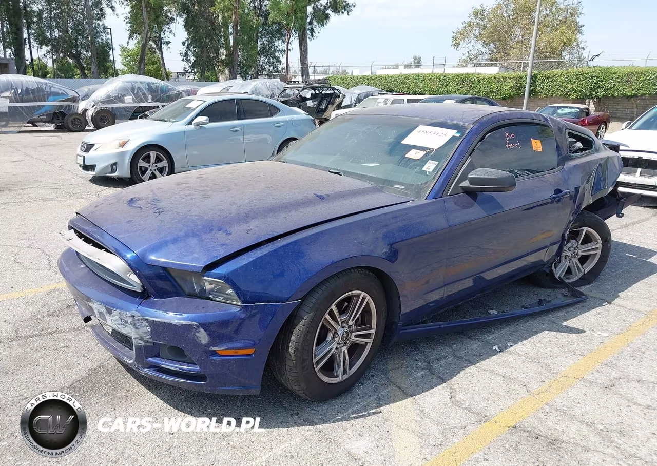 2014 Ford Mustang V6 VIN:1ZVBP8AM3E5301938 - 2