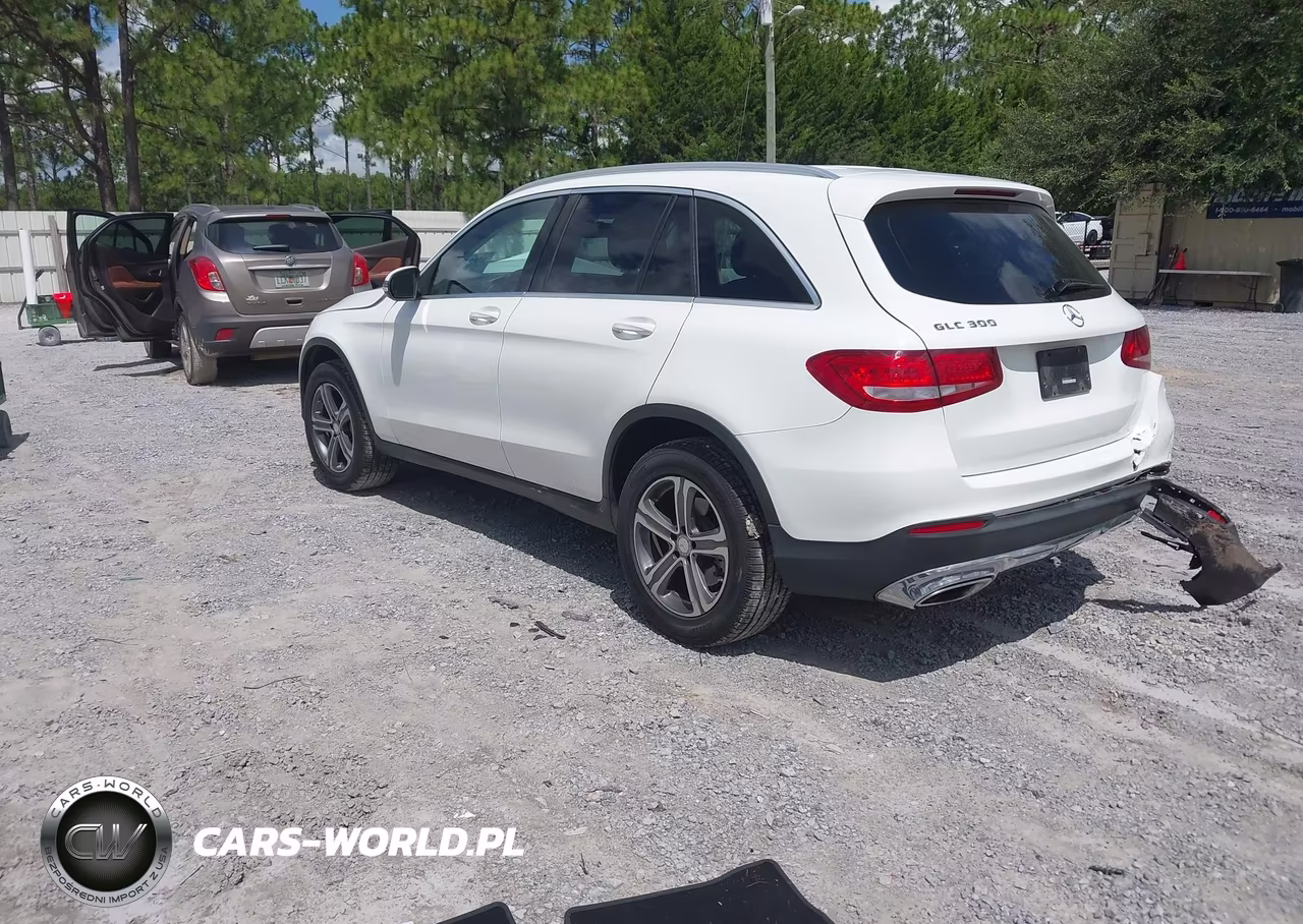 2016 Mercedes-Benz Glc 300 VIN:WDC0G4JB8GF100335 - 3