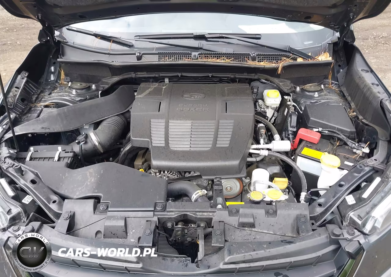 2024 Subaru Forester Limited VIN:JF2SKALC6RH483072 - 10