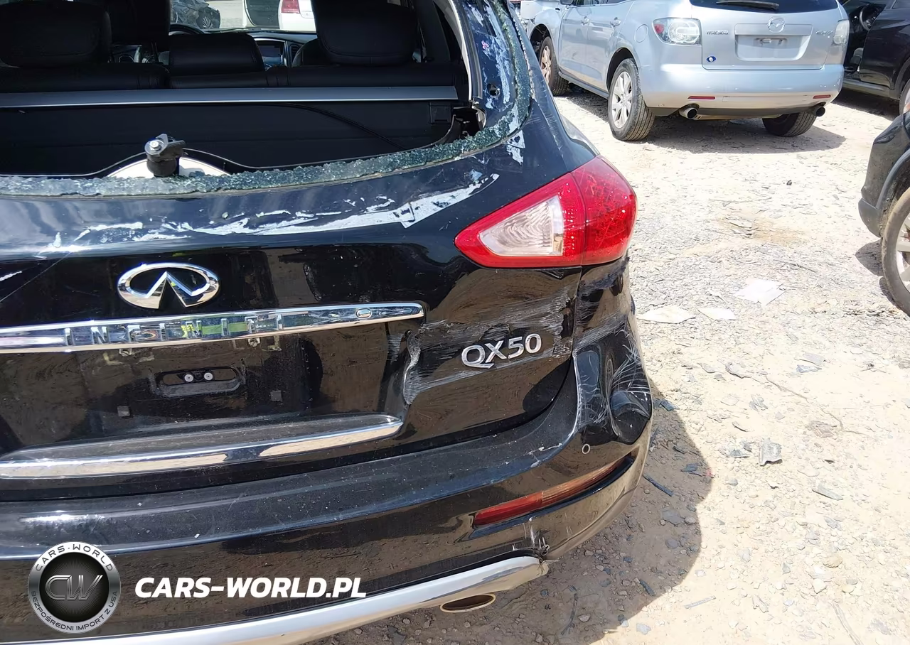 2016 Infiniti Qx50 VIN:JN1BJ0RR0GM269032 - 18