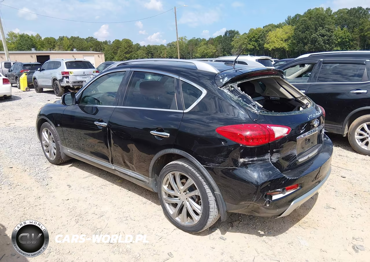 2016 Infiniti Qx50 VIN:JN1BJ0RR0GM269032 - 3