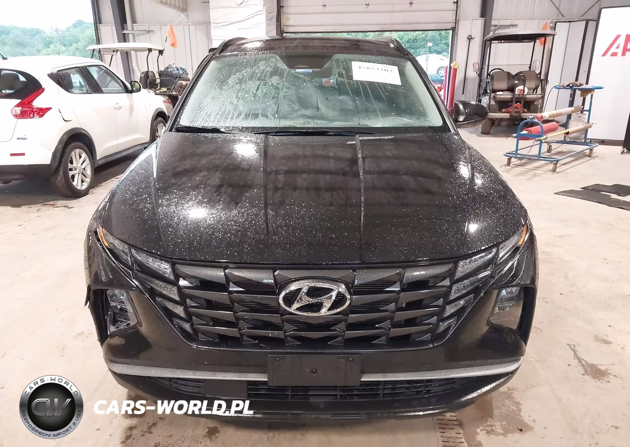 2024 Hyundai Tucson Sel VIN:5NMJBCDE7RH412175 - 12