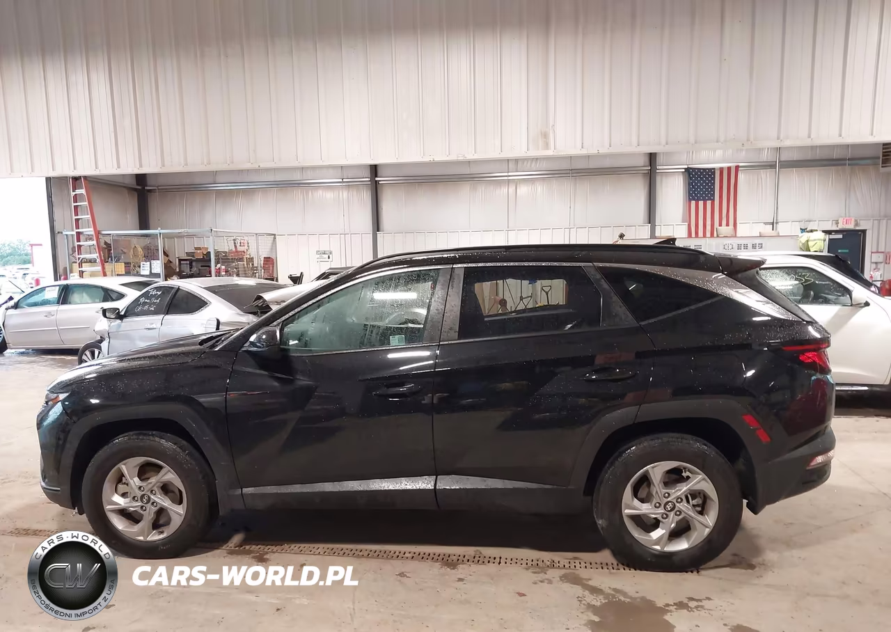2024 Hyundai Tucson Sel VIN:5NMJBCDE7RH412175 - 14