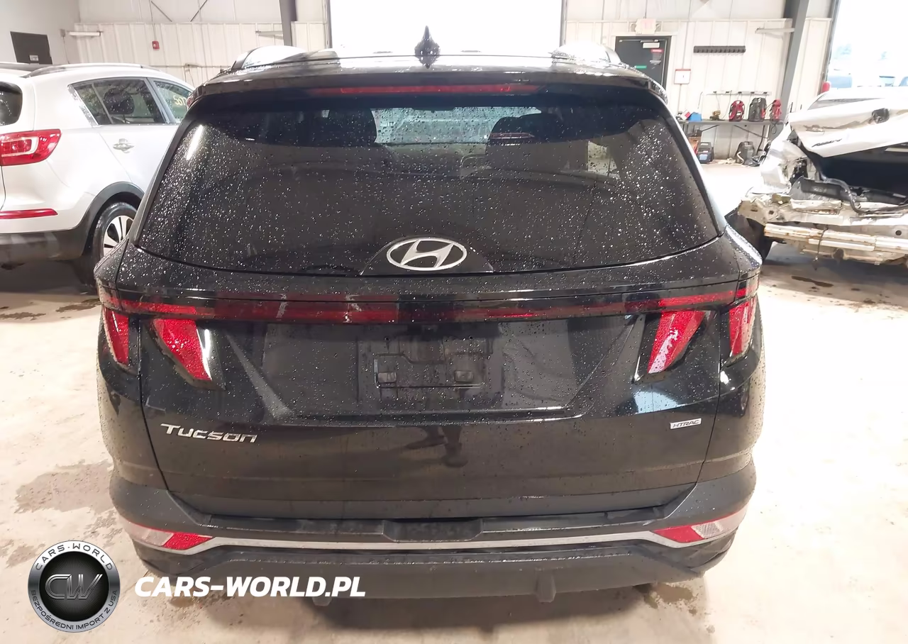 2024 Hyundai Tucson Sel VIN:5NMJBCDE7RH412175 - 16