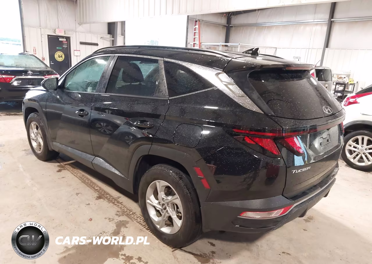 2024 Hyundai Tucson Sel VIN:5NMJBCDE7RH412175 - 3