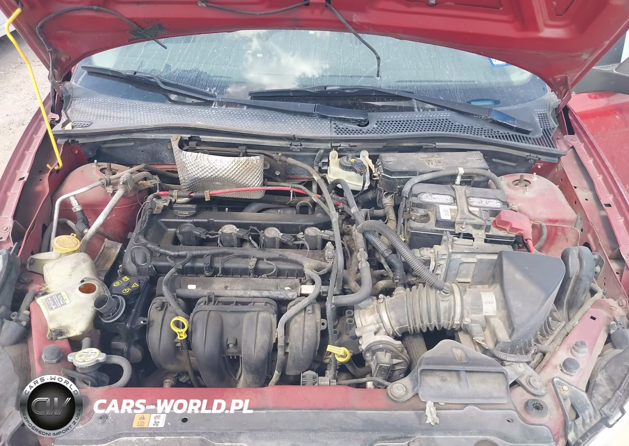 2010 Ford Focus S VIN:1FAHP3EN5AW290499 - 10